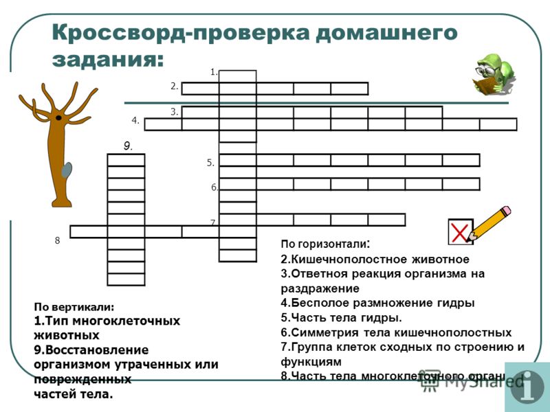 Кракен как зайти